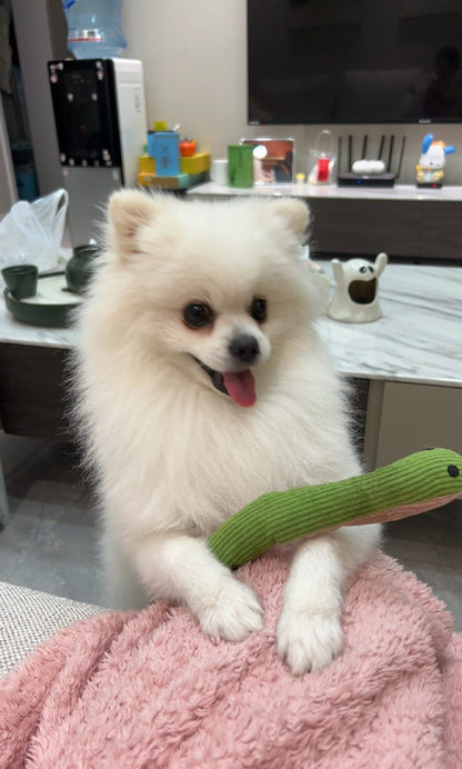 🎁Last Day 70% OFF - Realistic Snake Squeaky Dog Toy - BUY 1 GET 2 FREE(3 PCS)