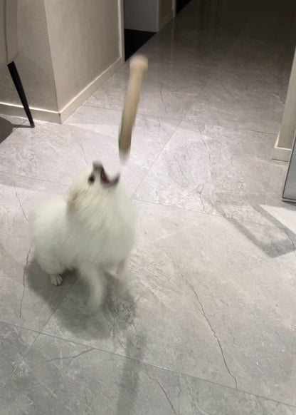 🎁Last Day 70% OFF - Realistic Snake Squeaky Dog Toy - BUY 1 GET 2 FREE(3 PCS)