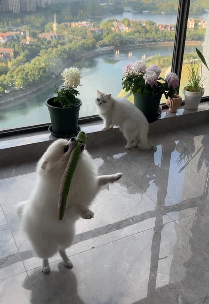 🎁Last Day 70% OFF - Realistic Snake Squeaky Dog Toy - BUY 1 GET 2 FREE(3 PCS)