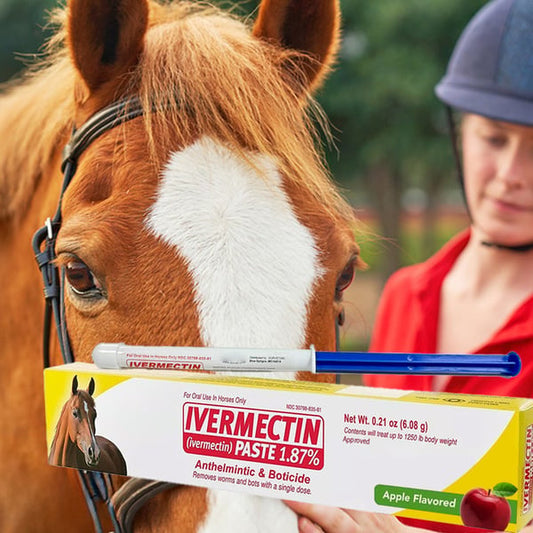 🔥LAST DAY SALE - BUY 2 FREE 1🔥ivermectin Horse Paste 1.87% 6.08g Tubes 3