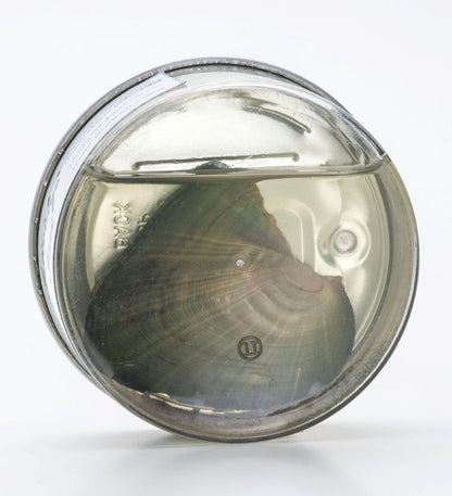 🌹Valentine Sale 70% OFF -❤️Pearl Necklace Giftset