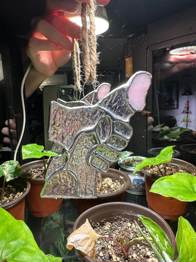 Humorous Shimmer Glass Suncatcher